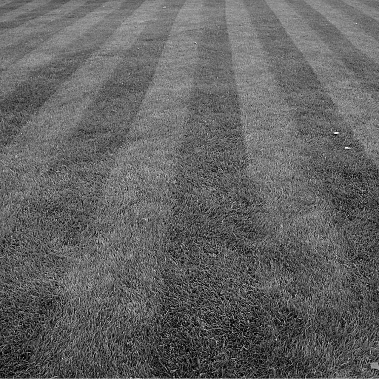 Gresham lawn care